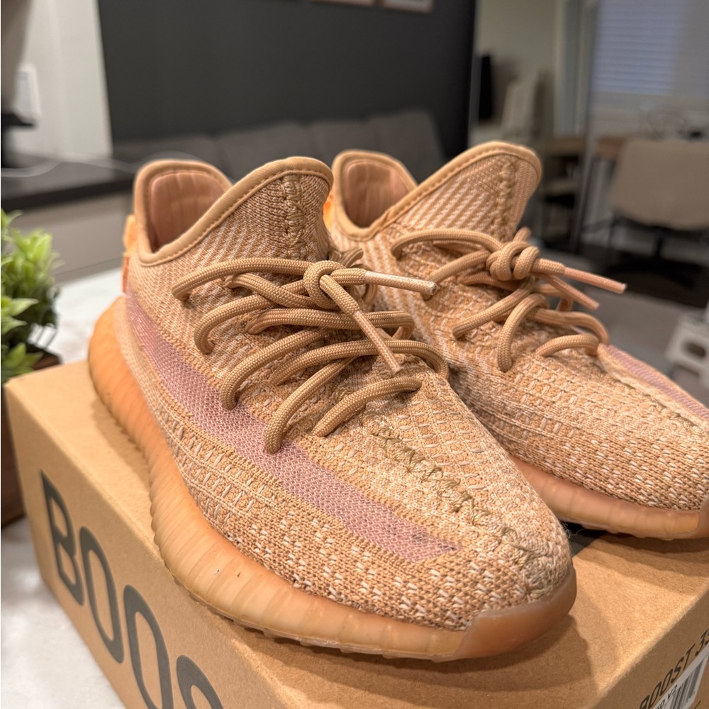 Adidas Yeezy Boost 350 V2 in Tan and Pink